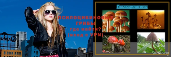 прущие крисы Фёдоровский