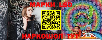прущие грибы Будённовск