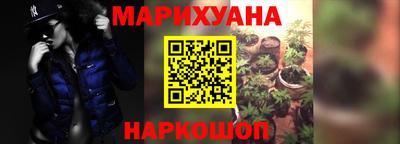 прущие грибы Будённовск