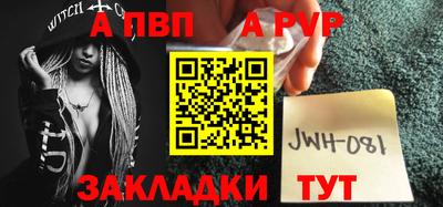стаф Кингисепп