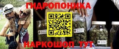 прущие грибы Будённовск