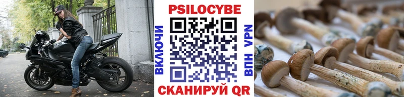 Псилоцибиновые грибы прущие грибы наркота Новокузнецк