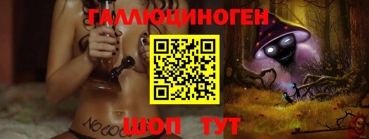 Галлюциногенные грибы Psilocybine cubensis Россия