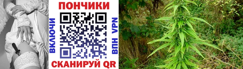 купить наркотики сайты  Новокузнецк  Конопля индика 